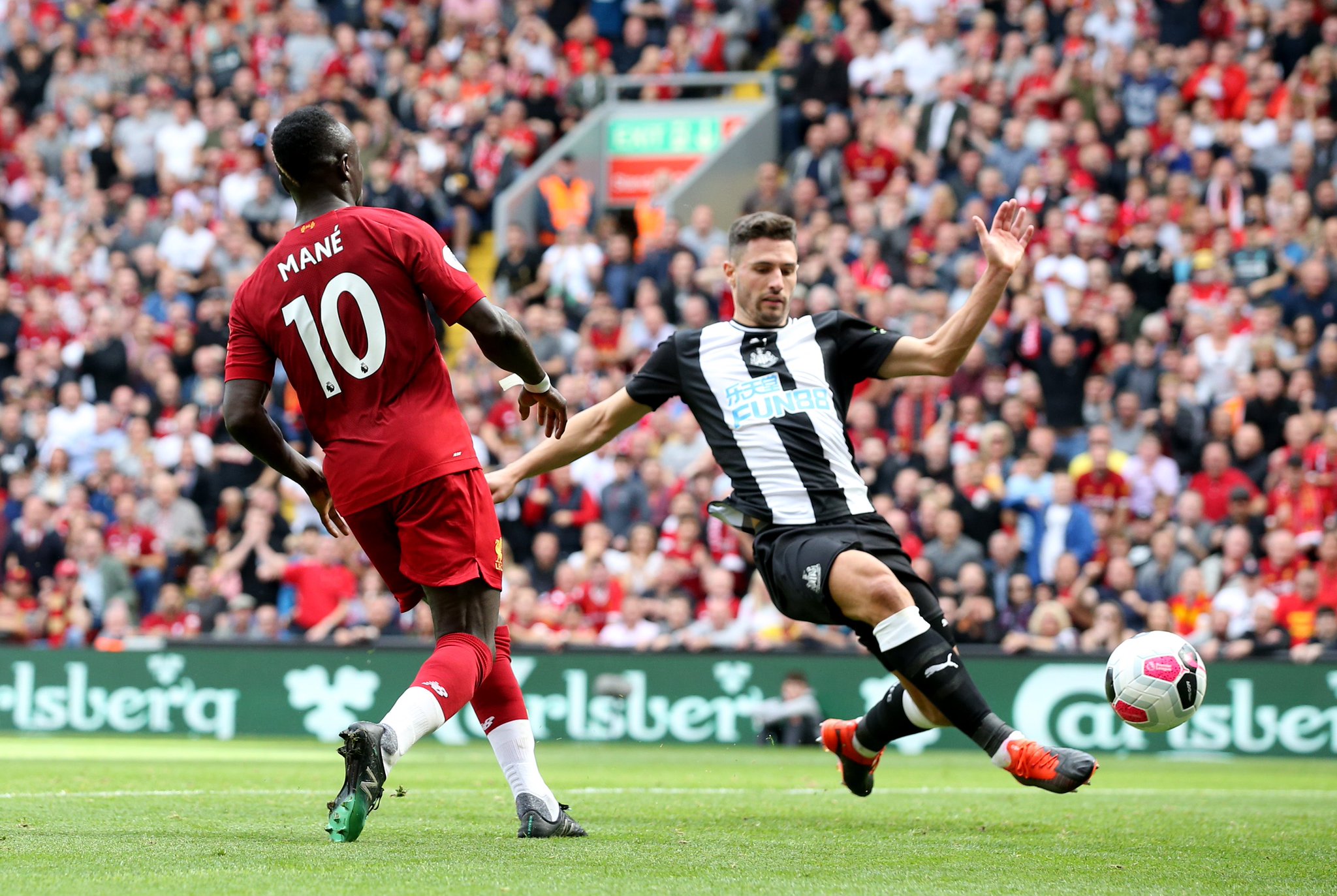 他成功地帮 他成功地帮