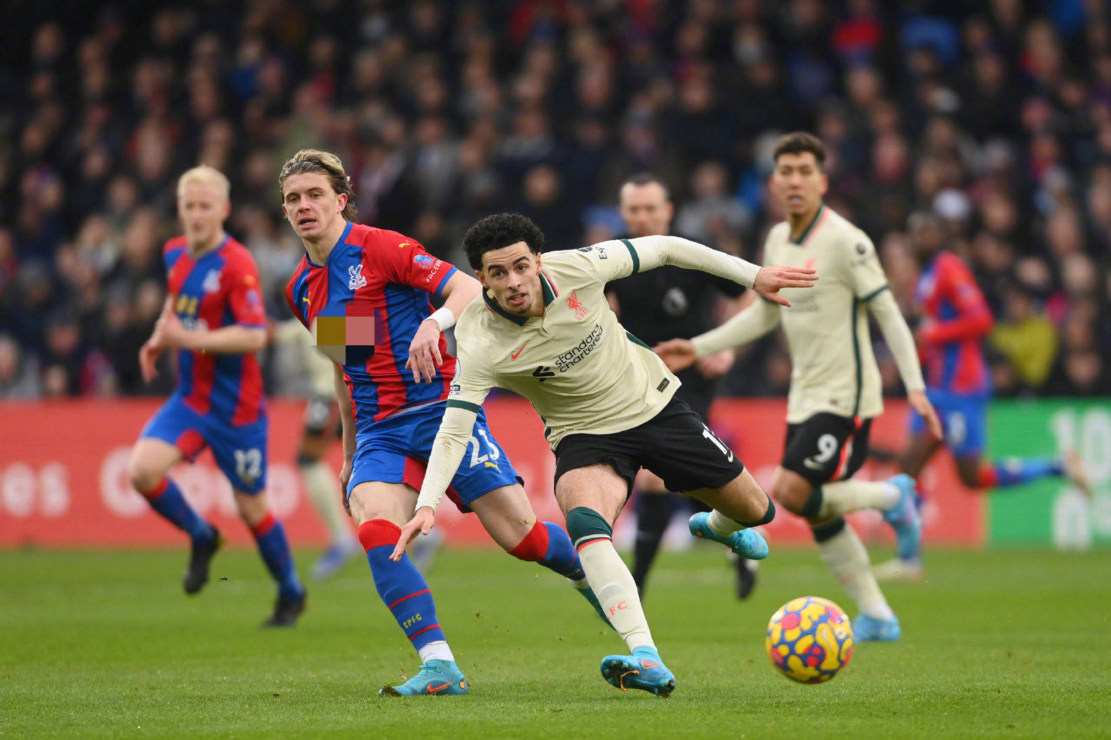 星在过去几 星在过去几