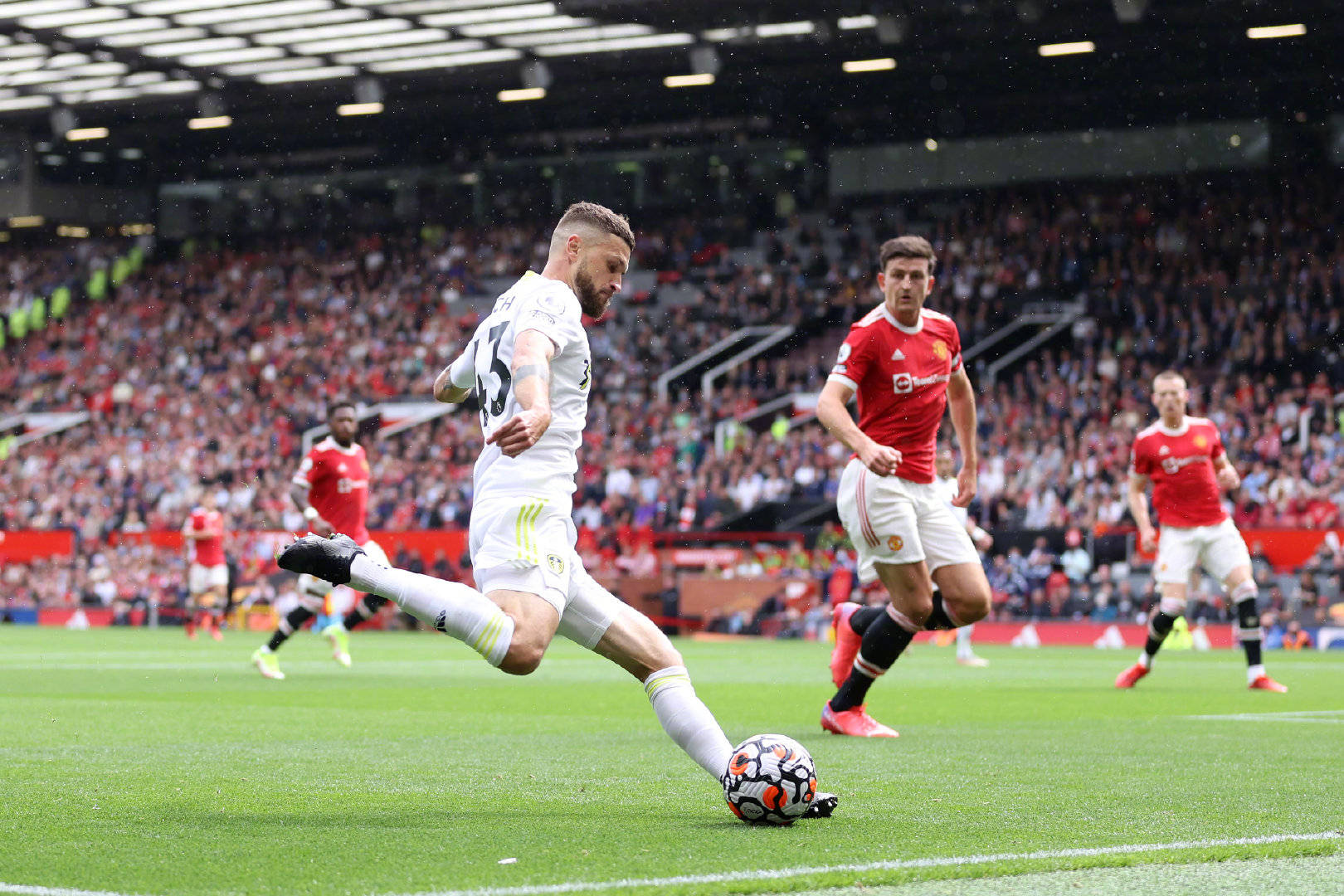 更是现阶段 更是现阶段